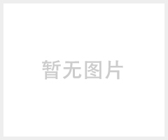 供应马达热保护器BW系列温控