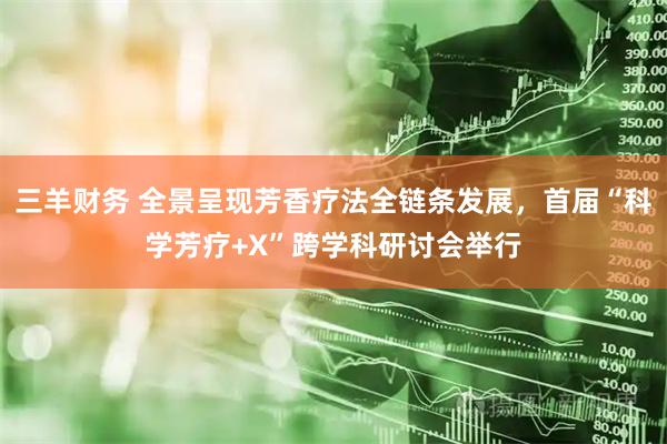 三羊财务 全景呈现芳香疗法全链条发展，首届“科学芳疗+X”跨学科研讨会举行