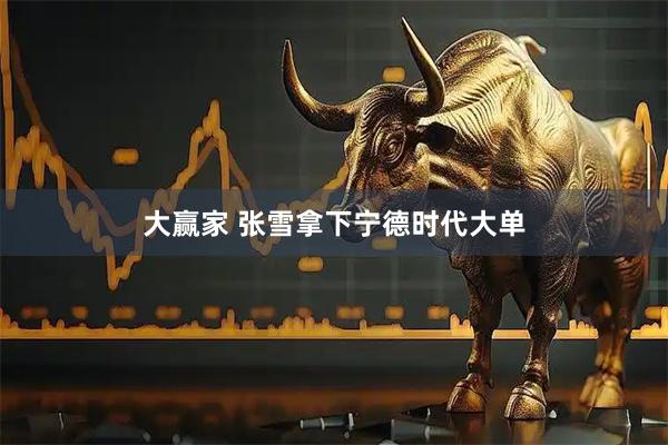 大赢家 张雪拿下宁德时代大单
