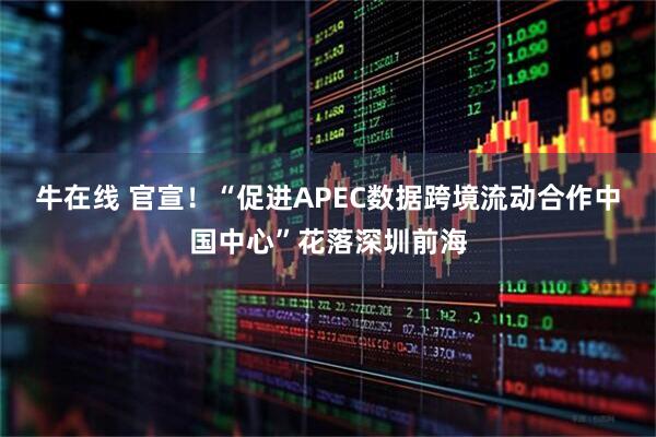 牛在线 官宣！“促进APEC数据跨境流动合作中国中心”花落深圳前海