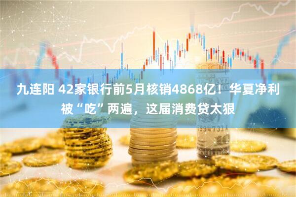九连阳 42家银行前5月核销4868亿!华夏净利被“吃”两遍,这届消费贷太狠